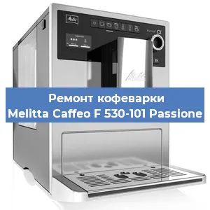 Замена фильтра на кофемашине Melitta Caffeo F 530-101 Passione в Тюмени